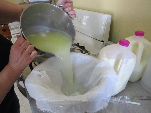 Draining the whey while making cottage cheese