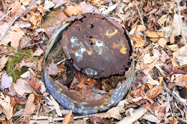 An old granite ware pail left in the woods