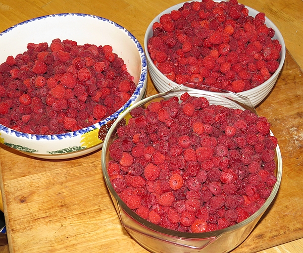raspberry bowls