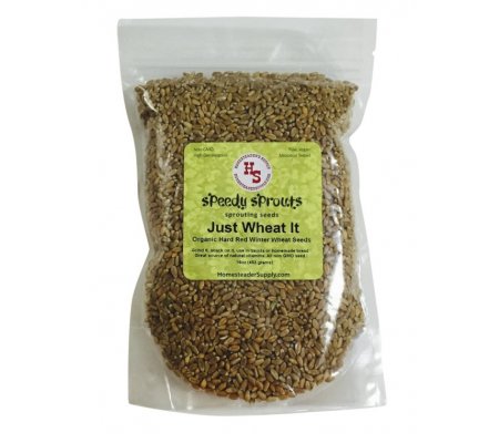 sprouting wheat berries