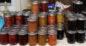 jelly jars