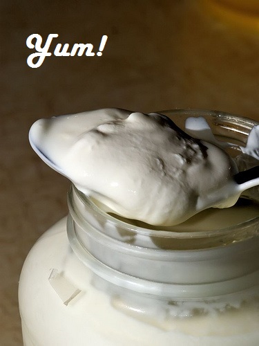 yogurt_spoon