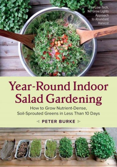 indoor salad gardening book