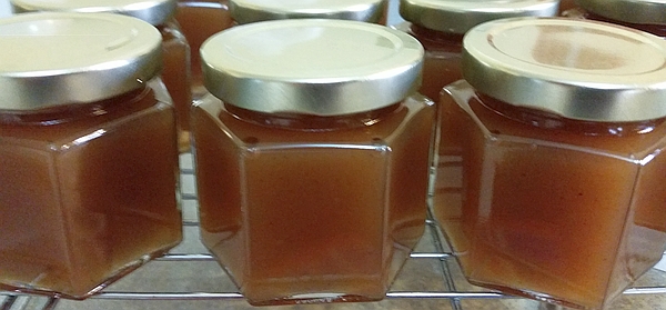 apple cider jelly recipe