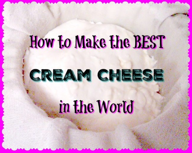 How to Make the Best Cream Cheese in the World HS Blog