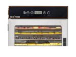 (image for) 10 Tray Dehydrator - Stainless Steel