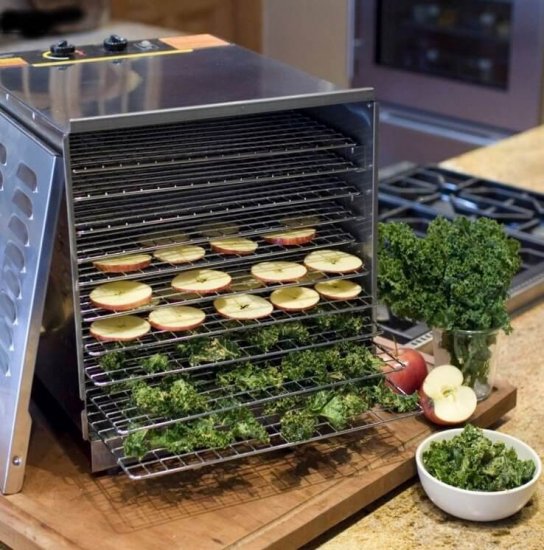 Stainless Steel Food Dehydrator 10-tray by Weston Food Dehydrator Stainless  Steel [74-1001-W] - $318.99 : Homesteader's Supply