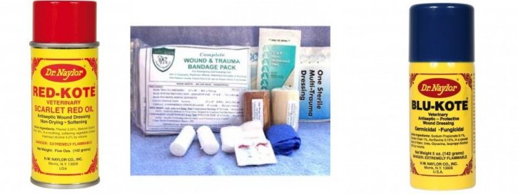 Care Kit for Wounds and Traumas : Homesteader's Supply