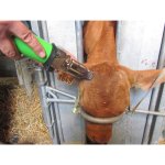 (image for) Express Green Inline Dehorner- Special Sale