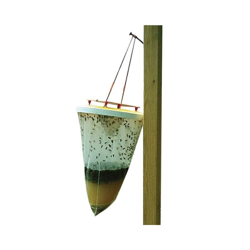 Fllies Be Gone! Natural Fly Trap - Set of 3