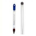 Floating Thermometer - Blue Line
