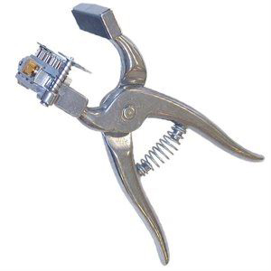 (image for) Revolving Head Tattoo w/ Positive Ear Release